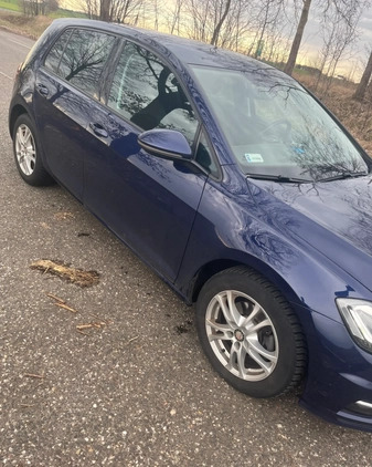 Volkswagen Golf cena 56500 przebieg: 203150, rok produkcji 2017 z Milanówek małe 67
